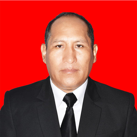 Director Distrital